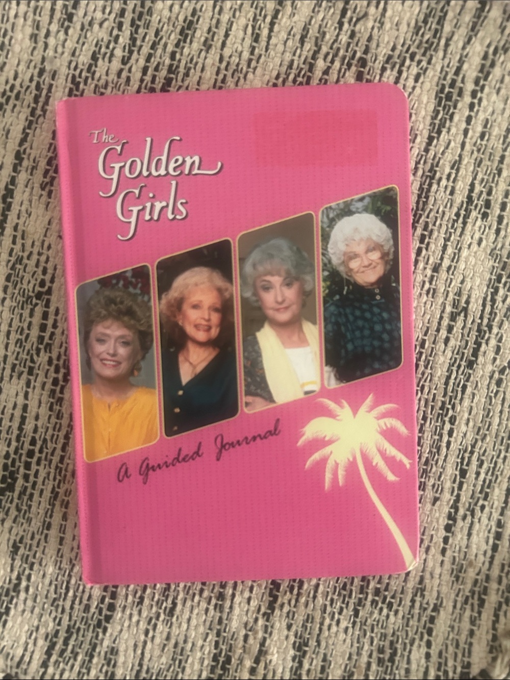 AB Studio Pink Hardcover Journal with Cast Portrait